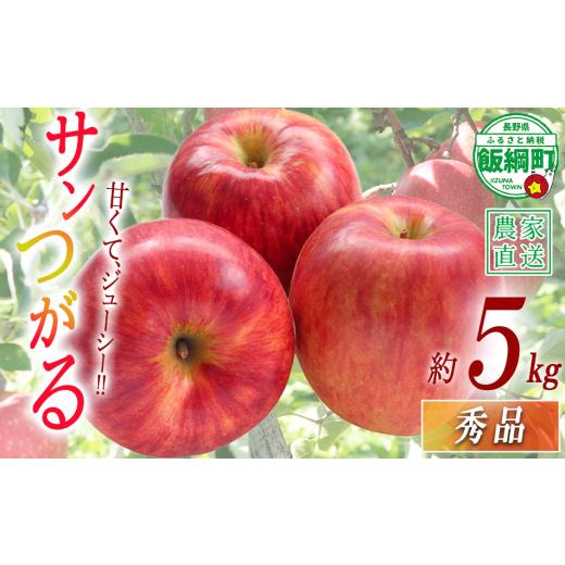 ふるさと納税 りんご 長野県 飯綱町 りんご サンつがる 秀 5kg 令和8年度収穫分 沖縄県への配送不可 2026年9月上旬頃から2026年9月中旬頃まで順次発送予定 宮…