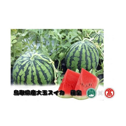 ふるさと納税 スイカ 鳥取県 江府町 鳥取県産大玉スイカ 羅皇(らおう)(大山ブランド会)すいか フルーツ 果物 受付6月末迄 期間限定 米子高島屋 27-DM1 09…