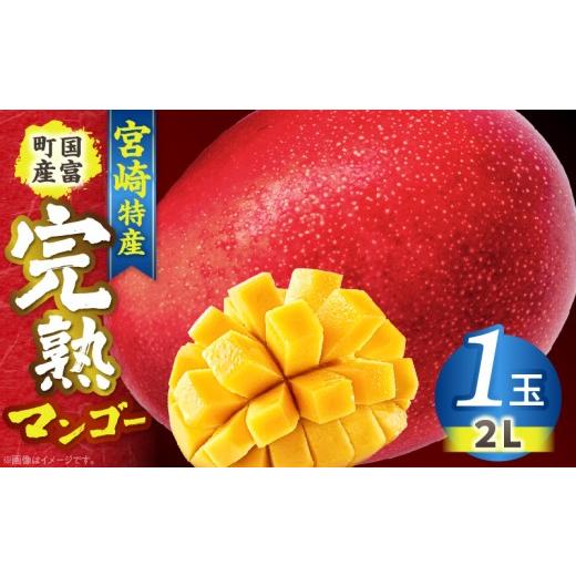 ふるさと納税 マンゴー 宮崎県 国富町 宮崎特産 国富町産の完熟マンゴー 1玉(2L)