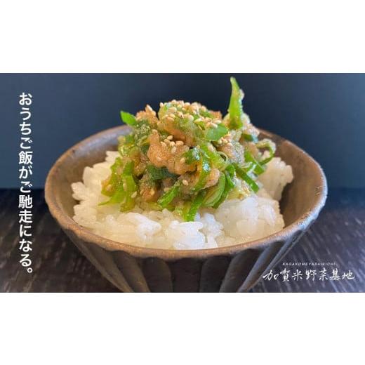 ふるさと納税 石川県 加賀市 【新米】『6ヶ月定期便』☆お米番付2022優秀賞受賞農家☆農薬・化学肥料不使用 石川県産いのちの壱 白米5kg×6ヶ月『有機JAS認証…