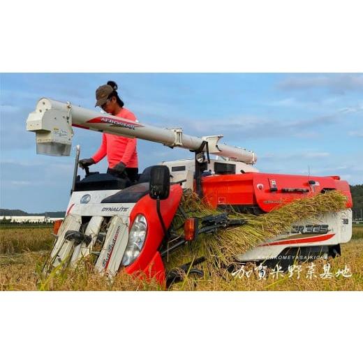 ふるさと納税 石川県 加賀市 【新米】『6ヶ月定期便』☆お米番付2022優秀賞受賞農家☆農薬・化学肥料不使用 石川県産いのちの壱 白米5kg×6ヶ月『有機JAS認証…