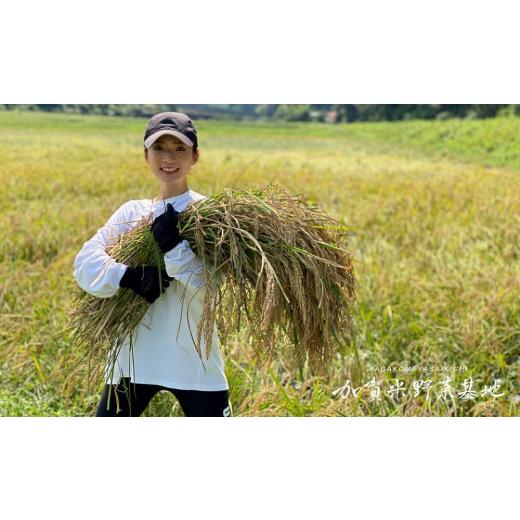 ふるさと納税 石川県 加賀市 【新米】『6ヶ月定期便』☆お米番付2022優秀賞受賞農家☆農薬・化学肥料不使用 石川県産いのちの壱 白米5kg×6ヶ月『有機JAS認証…