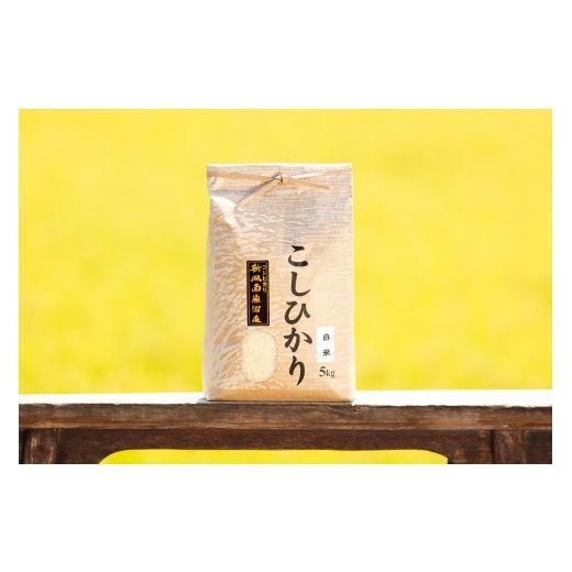 ふるさと納税 米 コシヒカリ 新潟県 南魚沼市 数量減退 わけあり 令和7年産 南魚沼産コシヒカリ(白米5kg)新潟県 特A地区の美味しいお米。 銘柄米 ブランド…