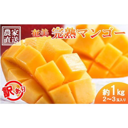 ふるさと納税 マンゴー 鹿児島県 瀬戸内町 2026年 先行予約 奄美完熟マンゴー 訳あり 家庭用 約1kg(2〜3玉入り) 完熟マンゴー 果物 マンゴー くだもの 食品…