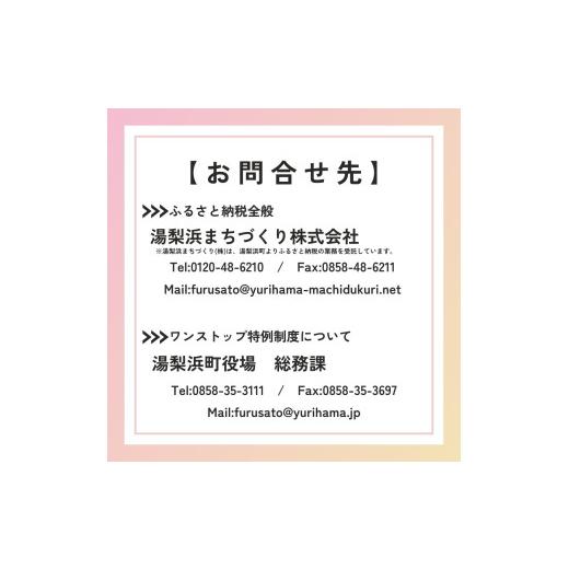 ふるさと納税 木工品・竹工品 鳥取県 湯梨浜町 268M.竹灯籠の画像