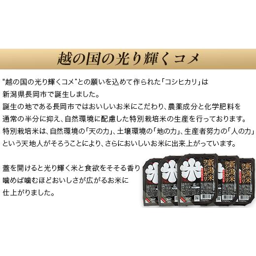 ふるさと納税 新潟県 長岡市 75-PG24新潟県長岡産コシヒカリ パックご飯150g×24個（特別栽培米）｜furusatochoice｜03