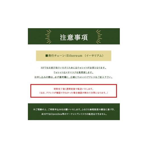 ふるさと納税 山口県 美祢市 NFTみね デジタルデザイン オオカミ（朝日） ｜ Non-Fungible Token データ 絵 美祢市 山口県 秋吉台 狼 オオカミ アート グラフ…｜furusatochoice｜03