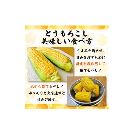 ふるさと納税 徳島県 阿波市 【 先行予約 】 とうもろこし 朝どり 5kg スイートコーン 甘い 《 2024年6月〜順次発送 》 おおもの  大粒 コーン サラダ 徳島県 …｜furusatochoice｜06