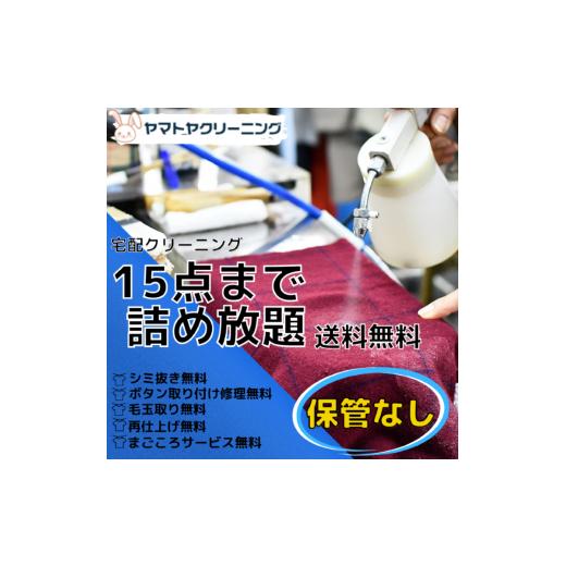 ふるさと納税 新潟県 糸魚川市 宅配クリーニング 15点コース(保管なし) シミ抜き・ボタン修理・毛玉取り付き!