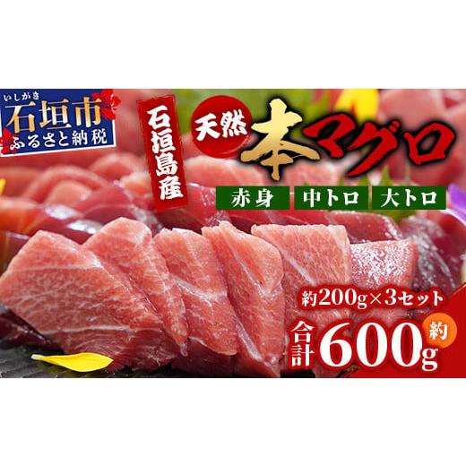 ふるさと納税 マグロ 沖縄県 石垣市 数量限定 石垣島産 天然本マグロ600g (まぐろ赤身・中トロ・大トロのミックスセット) ヤエスイ マグロ船直送 順次発送 | …