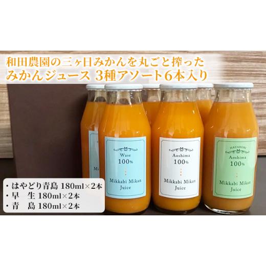 ふるさと納税 果汁飲料 みかん 静岡県 浜松市 和田農園の三ヶ日みかんを丸ごと搾ったみかんジュース 3種アソート6本入り  