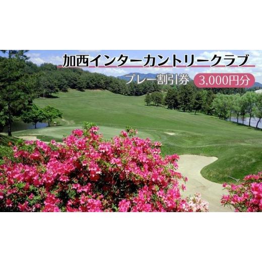 ふるさと納税 ゴルフ場利用券 兵庫県 加西市 加西インターカントリークラブ プレー割引券 3000円分 ゴルフ プレー券 兵庫県