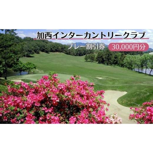 ふるさと納税 ゴルフ場利用券 兵庫県 加西市 加西インターカントリークラブ プレー割引券 30000円分 ゴルフ プレー券 兵庫県