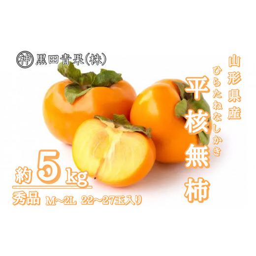 ふるさと納税 果物類 柿 山形県 山形市 山形産 平核無柿(ひらたねなしかき) 秀品 M~2L 約5kg(22〜27玉) FZ23-417