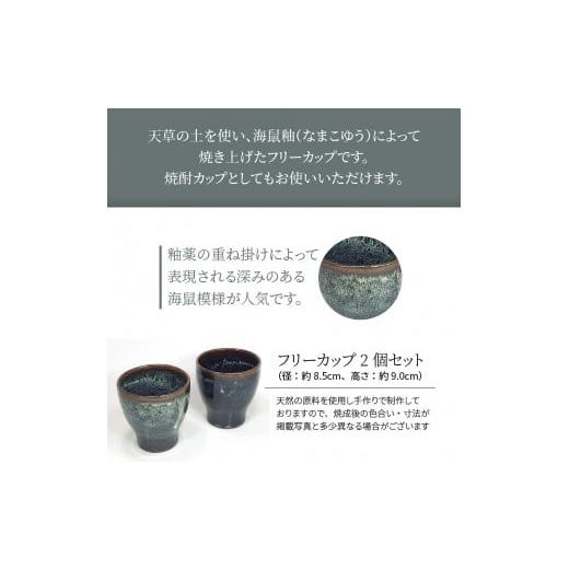 陶磁器・漆器・ガラス 熊本県 【名匠】 天草市 S045-005_青ナマコ釉フリーカップセット(2個セット)
