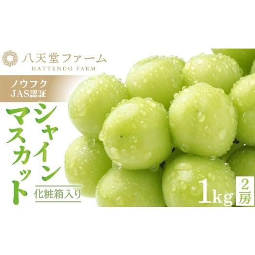 ふるさと納税 ぶどう マスカット 広島県 竹原市 八天堂ぶどう園 シャインマスカット 2房 1kg 化粧箱入り ノウフクJAS認証 ぶどう 葡萄 フルーツ 種無し 種なし…