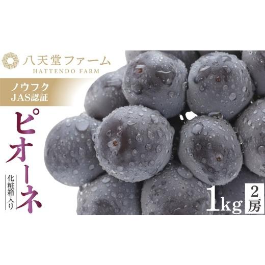 ふるさと納税 果物類 ぶどう 広島県 竹原市 八天堂ぶどう園 ピオーネ 2房 1kg 化粧箱入りノウフクJAS認証 ぶどう 種無し 種なし フルーツ 果物 糖度17〜19度 …