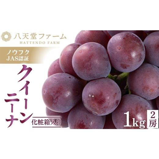 ふるさと納税 果物類 ぶどう 広島県 竹原市 八天堂ぶどう園 クイーンニーナ 2房 1kg 化粧箱入り ノウフクJAS認証 高糖度品種 ぶどう 種無し 種なし フルーツ …