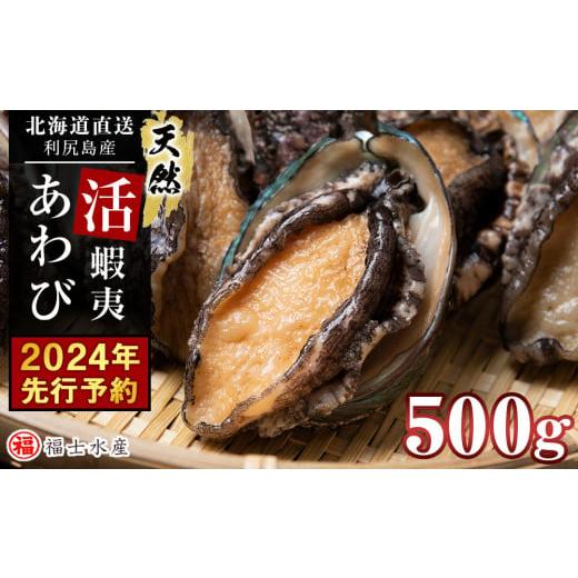 ふるさと納税 北海道 利尻富士町 [2024年先行予約]北海道 利尻島産 直送!天然 活えぞあわび 500g 鮑 海鮮 冷蔵 お刺身 魚介 お祝い 鮑 活き 天然[福士水産…