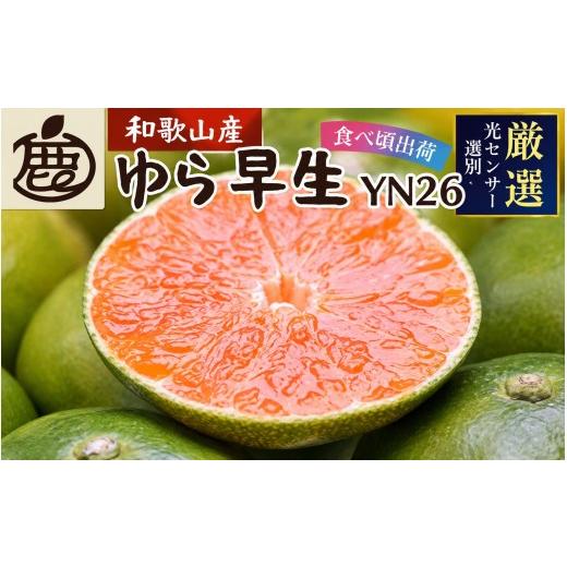 ふるさと納税 果物類 みかん 和歌山県 北山村 先行予約 プレミアム有田みかん(ゆら早生) 2.5kg+250g(傷み補償分) 10月より発送 北海道・沖縄・離島配送不可…