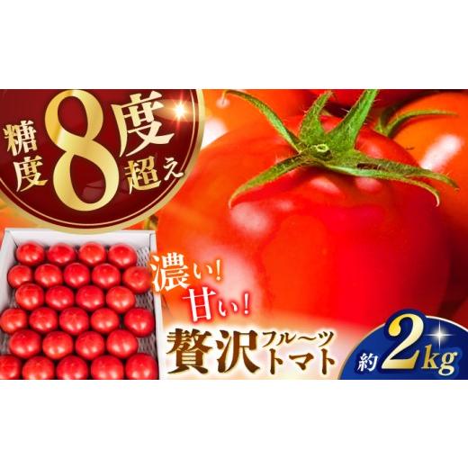 ふるさと納税 野菜類 トマト 高知県 高知市 先行予約 高知県高知市産 贅沢フルーツトマト 約2kg [2027年2月初旬〜5月中旬まで発送] / トマト とまと フル…
