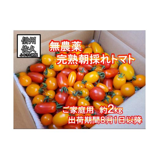 ふるさと納税 トマト ミニトマト 長野県 佐久市 無農薬 朝採れ 完熟トマト約2kg 家庭用 [2026年8月1日〜2026年10月31日出荷/北海道・九州・沖縄・離島は配…