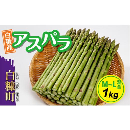 ふるさと納税 野菜類 アスパラガス 北海道 白糠町 数量限定 白糠町産アスパラガス M〜L混合1kg