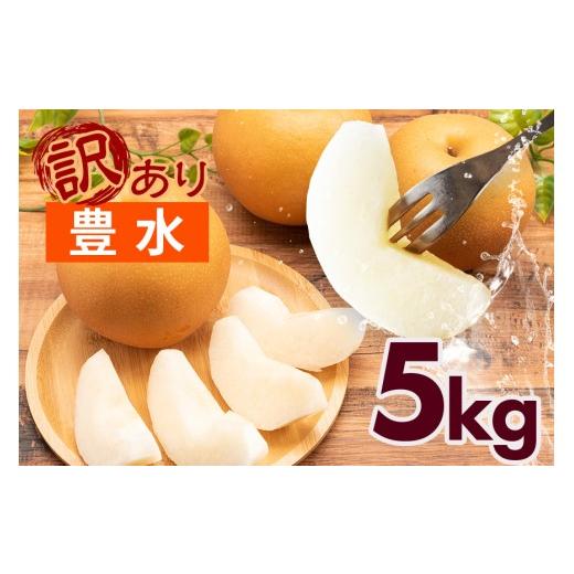 ふるさと納税 梨 茨城県 笠間市 訳あり 柴沼梨園の梨 （ 豊水 ） 梨 5kg 10〜16個入り 訳アリ 不揃い 訳あり品 ナシ なし 国産 茨城 豊水梨 秋 旬 フルーツ 果…_1