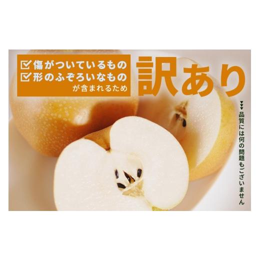 ふるさと納税 梨 茨城県 笠間市 訳あり 柴沼梨園の梨 （ 豊水 ） 梨 5kg 10〜16個入り 訳アリ 不揃い 訳あり品 ナシ なし 国産 茨城 豊水梨 秋 旬 フルーツ 果…_2