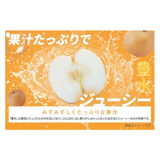 ふるさと納税 梨 茨城県 笠間市 訳あり 柴沼梨園の梨 （ 豊水 ） 梨 5kg 10〜16個入り 訳アリ 不揃い 訳あり品 ナシ なし 国産 茨城 豊水梨 秋 旬 フルーツ 果…_3