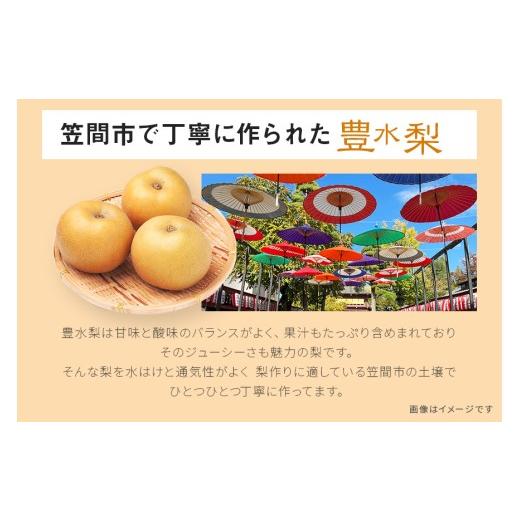 ふるさと納税 梨 茨城県 笠間市 訳あり 柴沼梨園の梨 （ 豊水 ） 梨 5kg 10〜16個入り 訳アリ 不揃い 訳あり品 ナシ なし 国産 茨城 豊水梨 秋 旬 フルーツ 果…_5
