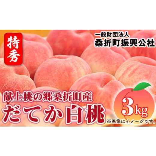 ふるさと納税 もも 福島県 桑折町 もも だてか白桃・2026年産先行受付 特秀3kg(8〜11玉)桑折町振興公社 桃 / もも モモ 果物 フルーツ 旬 甘い 甘み ジュ…