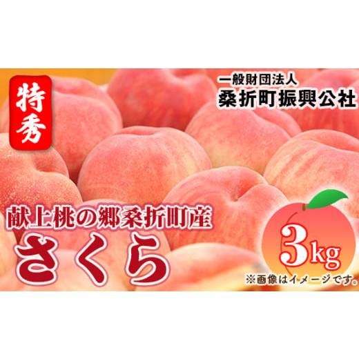ふるさと納税 もも 福島県 桑折町 もも さくら白桃・2026年産先行受付 特秀3kg(8〜11玉)桑折町振興公社 桃 / もも モモ 果物 フルーツ 旬 甘い 甘み ジュ…