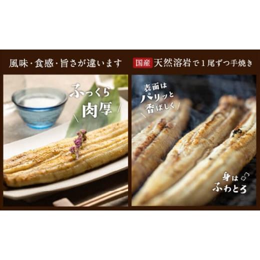 ふるさと納税 ウナギ 静岡県 浜松市  浜名湖産 朝じめ ウナギ 溶岩焼き 白焼き 10尾（約140g×10尾） No.5786-5090