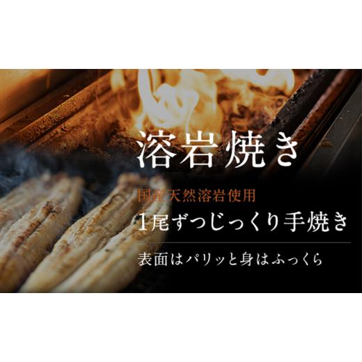 ふるさと納税 ウナギ 静岡県 浜松市  浜名湖産 朝じめ ウナギ 溶岩焼き 白焼き 10尾（約140g×10尾） No.5786-5090
