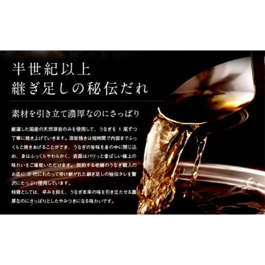 ふるさと納税 ウナギ 静岡県 浜松市  浜名湖産 朝じめ ウナギ 溶岩焼き 白焼き 10尾（約140g×10尾） No.5786-5090