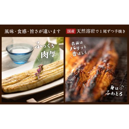 秋冬の主役◎ ふるさと納税 静岡県 浜松市 浜名湖産 朝じめ鰻 溶岩焼きコンビセット 約140g×10尾（蒲焼き 5尾・白焼き 5尾） [No.5786-5093] 【GMS2171675870】(76500円)