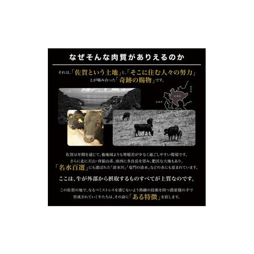 ふるさと納税 牛肉 ヒレ 佐賀県 佐賀市  偶数月定期便（年6回） 佐賀牛ヒレ 200g×2：C312-003_6