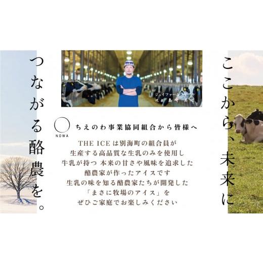 ふるさと納税 菓子 アイス 北海道 別海町  隔月定期便 THE ICE ピスタリッチ12個セット×2回定期便 be003-1069-200-2 （J FARM AMUSE 株式会社）（北海道 別海…の画像