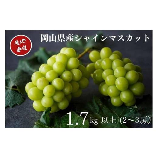 ふるさと納税 ぶどう マスカット 岡山県 岡山市 厳選 シャインマスカット 2〜3房 合計1.7kg以上 産地直送 朝採れ ぶどう 葡萄 Kawahara Green Farm 岡山県産 2…
