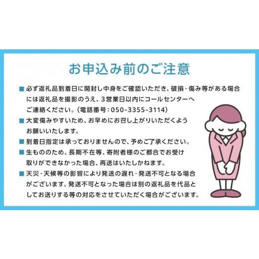 ふるさと納税 岡山県 岡山市 厳選 瀬戸ジャイアンツ 2房 合計1.2kg以上  産地直送 朝採れ ぶどう 葡萄 Kawahara Green Farm 岡山県産 2024年 [No.5220-1436]｜furusatochoice｜09