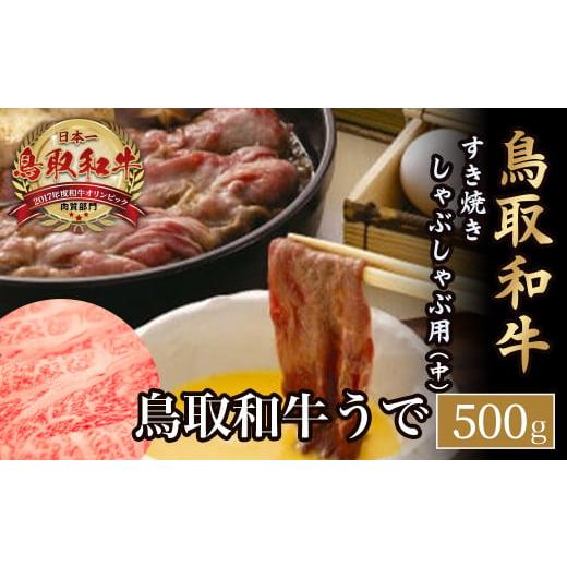 ふるさと納税 鳥取県 倉吉市 鳥取和牛 すき焼き しゃぶしゃぶ用 (中) 黒毛和牛 国産 牛肉 和牛