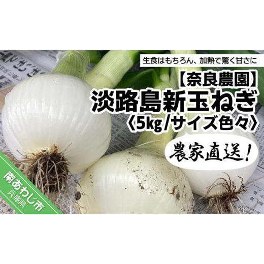 ふるさと納税 野菜類 玉ねぎ 兵庫県 南あわじ市 農家直送 淡路島新玉ねぎ ５kgサイズ色々の画像