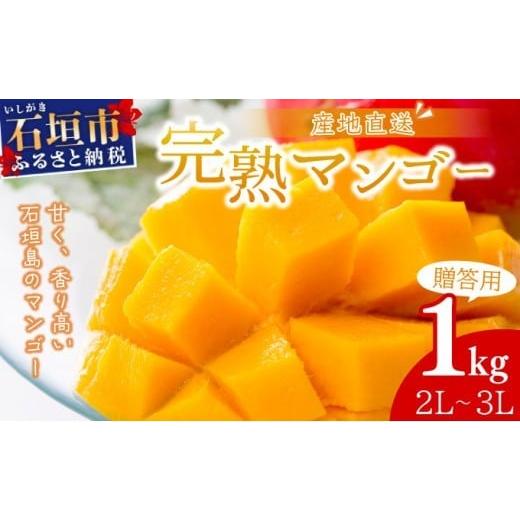 ふるさと納税 果物類 沖縄県 石垣市 2026年6月末から順次発送 2L〜3L マンゴー2〜3玉(約1kg) 産地直送 旬 フルーツ 新鮮 完熟 マンゴー 石垣 沖縄 KP-24 2…