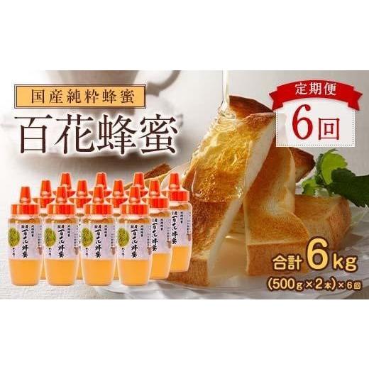 ふるさと納税 加工品等 はちみつ 福岡県 八女市  全6回 定期便 かの蜂 国産 百花蜂蜜 合計6kg（とんがり容器500gを毎月2本お届け） 純粋はちみつ ハチミツ 非…の画像