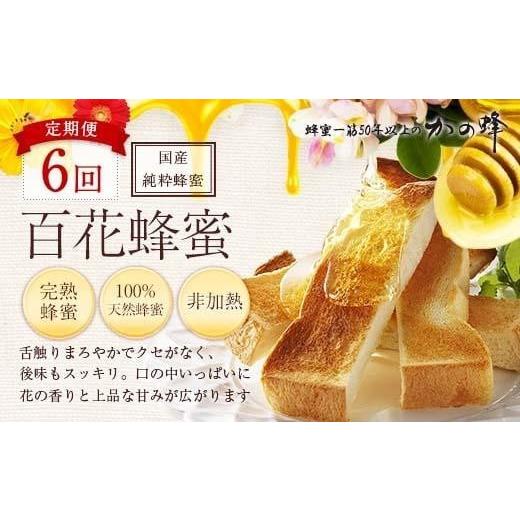 ふるさと納税 加工品等 はちみつ 福岡県 八女市  全6回 定期便 かの蜂 国産 百花蜂蜜 合計6kg（とんがり容器500gを毎月2本お届け） 純粋はちみつ ハチミツ 非…の画像