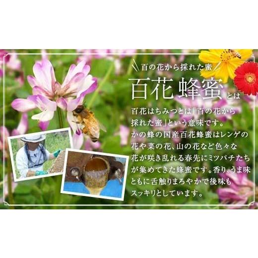 ふるさと納税 加工品等 はちみつ 福岡県 八女市  全6回 定期便 かの蜂 国産 百花蜂蜜 合計6kg（とんがり容器500gを毎月2本お届け） 純粋はちみつ ハチミツ 非…の画像