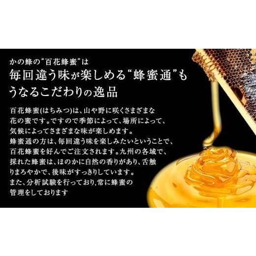 ふるさと納税 加工品等 はちみつ 福岡県 八女市  全6回 定期便 かの蜂 国産 百花蜂蜜 合計6kg（とんがり容器500gを毎月2本お届け） 純粋はちみつ ハチミツ 非…の画像