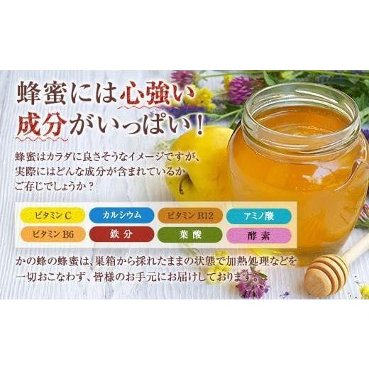 ふるさと納税 加工品等 はちみつ 福岡県 八女市  全6回 定期便 かの蜂 国産 百花蜂蜜 合計6kg（とんがり容器500gを毎月2本お届け） 純粋はちみつ ハチミツ 非…の画像