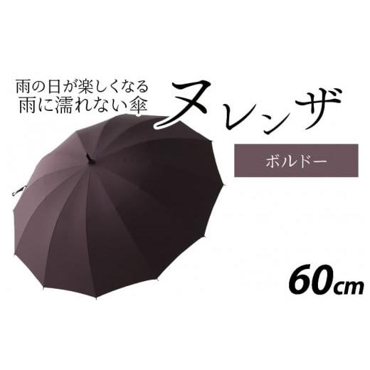 ふるさと納税 ファッション 福井県 福井市 ヌレンザ 雨傘(親骨60cm) ボルドー K-035001_01 ボルドー